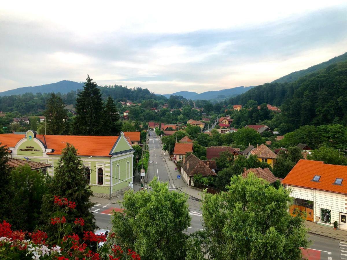 Vila Ursul Negru Sovata Exteriör bild